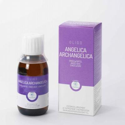 RPSH Angelica archangelica