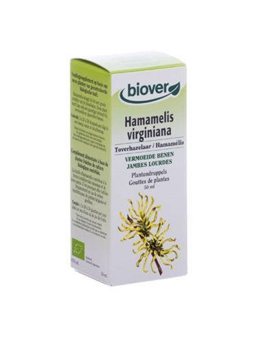 Hamamelis virginiana bio