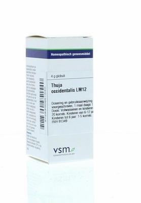 VSM Thuja occidentalis LM12