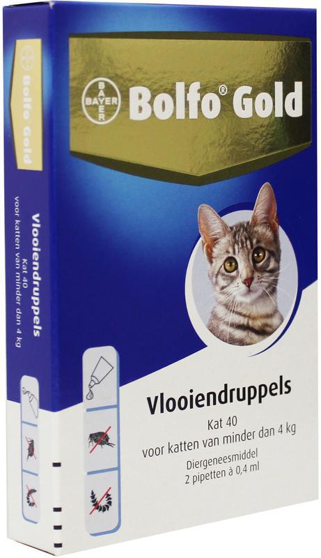 druppels gold kat 40 1s