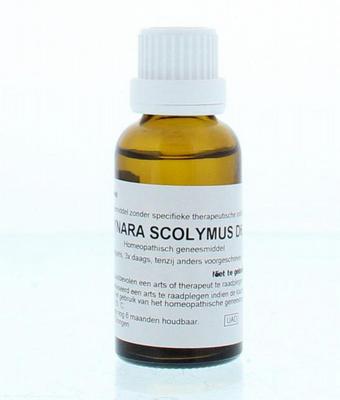 Homeoden Heel Cynara scolymus D6