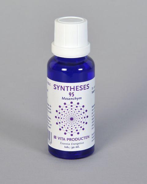 Syntheses 95 mesenchym
