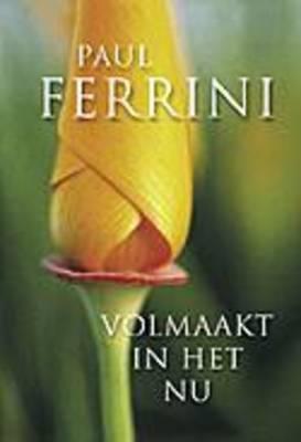 volmaakt in het nu boek