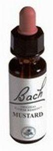 BA21 Mustard