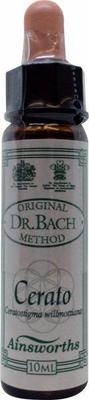 AINSWORTHB Cerato Bach