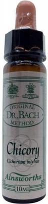 AINSWORTHB Chicory Bach
