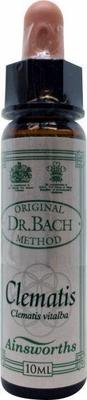 AINSWORTHB Clematis Bach
