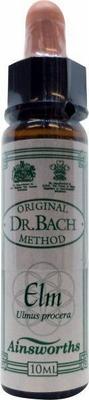AINSWORTHB Elm Bach