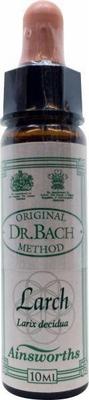 AINSWORTHB Larch Bach