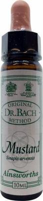 AINSWORTHB Mustard Bach