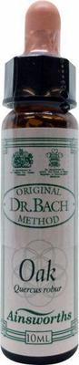 AINSWORTHB Oak Bach