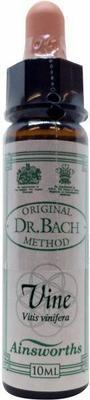 AINSWORTHB Vine Bach