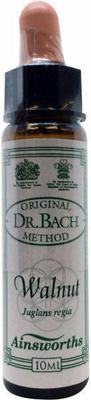 AINSWORTHB Walnut Bach