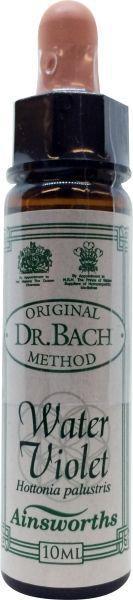 Water violet Bach