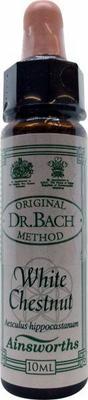 AINSWORTHB White chestnut Bach