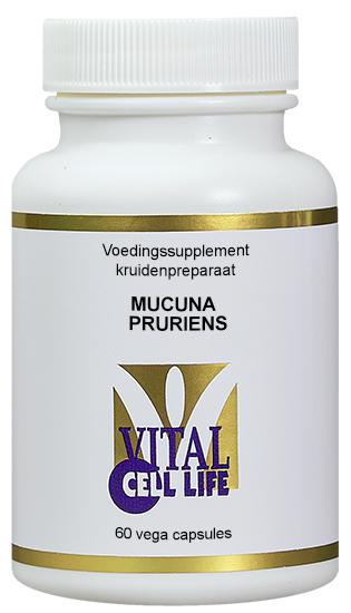 Mucuna pruriens