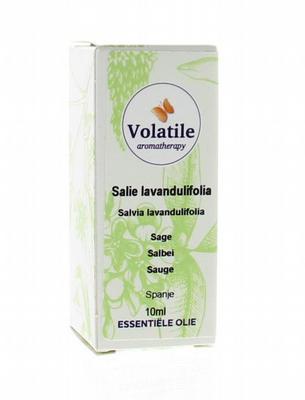 Volatile Salie lavandulifolia
