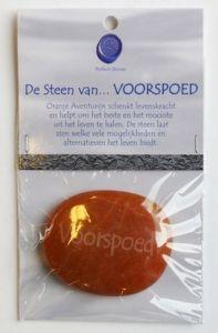 Steengoed de steen van voorspoed 1kaart