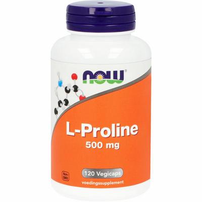 NOW L-Proline 500mg