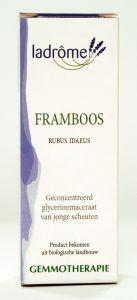 framboos/rubus idaeus ld# 15ml