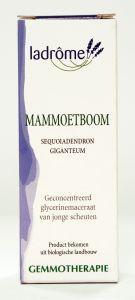 mammoetboom/sequoia gigant ld# 15ml
