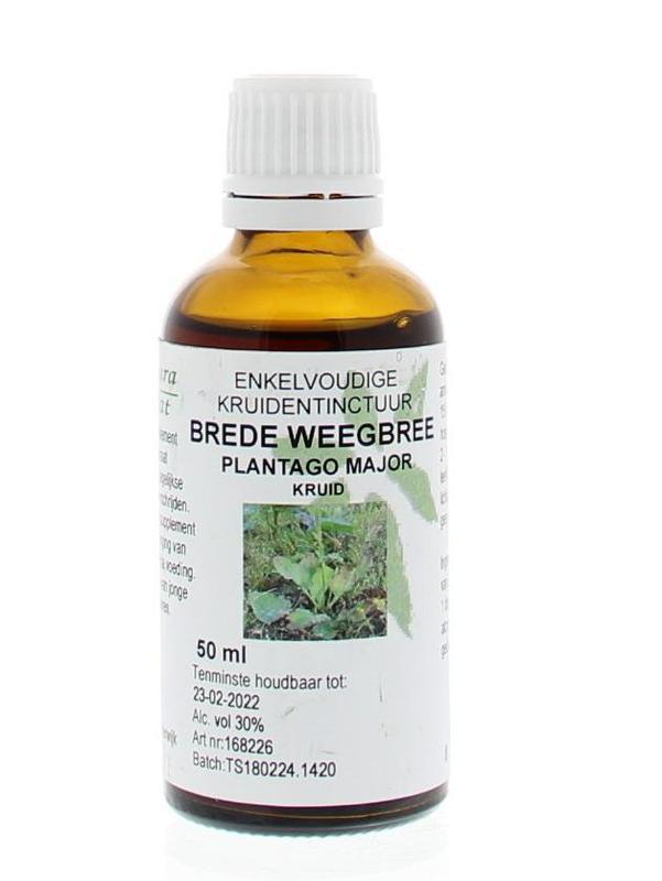 Plantago major / brede weegbree tinctuur