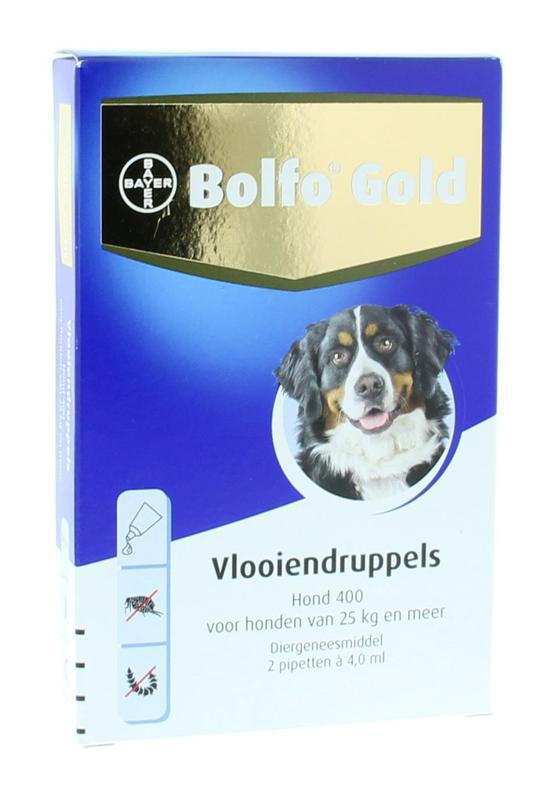 dier h bolfo drupp gold 400 1s