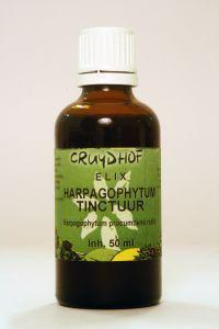 Hyssopus officinalis herba tinctuur bio