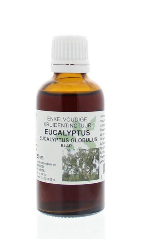 Eucalyptus globulus folia tinctuur