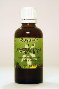 Cinnamomum zeyl cort / kaneel tinctuur bio