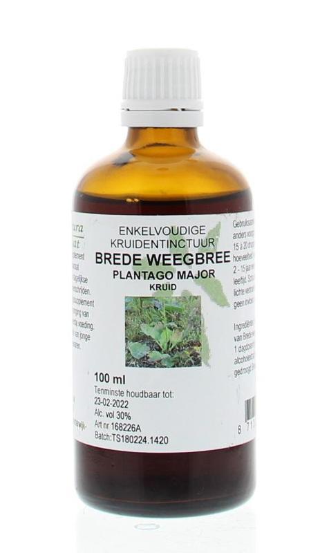 Plantago major / brede weegbree tinctuur