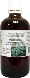 Natura Sanat Thuja occidentalis / levensboom tinctuur