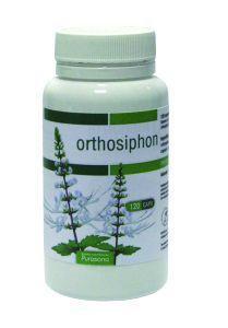 Purasana orthosiphon 325mg pura 120vc