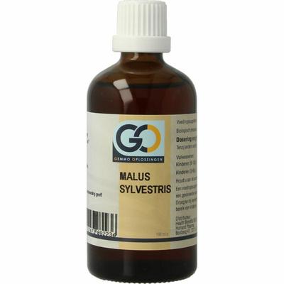 GO Malus sylvestris bio
