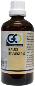 Malus sylvestris bio