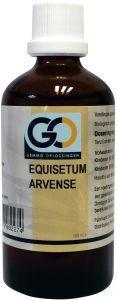 Equisetum arvense bio