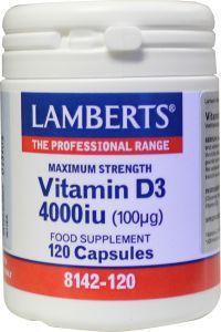 vit d4000ie 100mcg 120cp