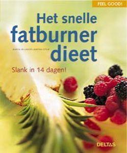 feel good! snelle fatburner d boek