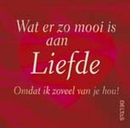 wat er zo mooi is aan liefde boek