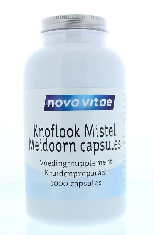 Knoflook mistel / maretak meidoorn