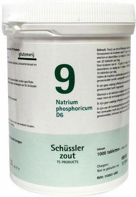 Pflüger Natrium phosphoricum 9 D6 Schussler