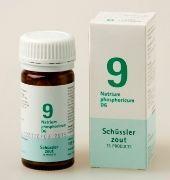 Pflüger Natrium phosphoricum 9 D6 Schussler