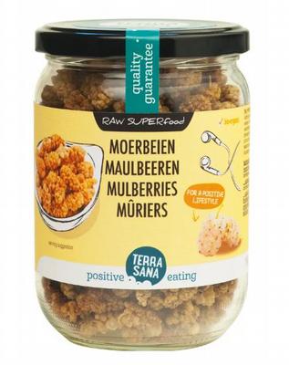 TerraSana Raw moerbei bessen wit in glas bio