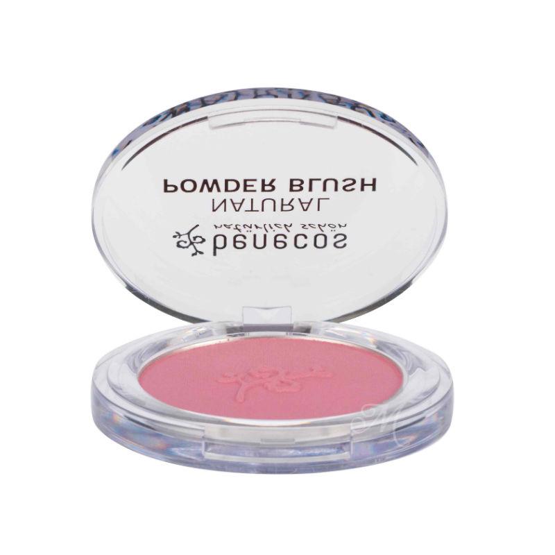 Natural compact blush mallow rose
