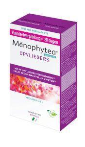 ONBEKEND \ MERKLOOS phytea menophytea opvliegers * 80cp