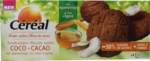 Cacao kokos koek