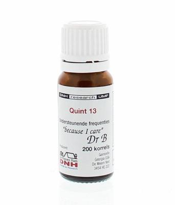 DNH Quint 13 BMYD