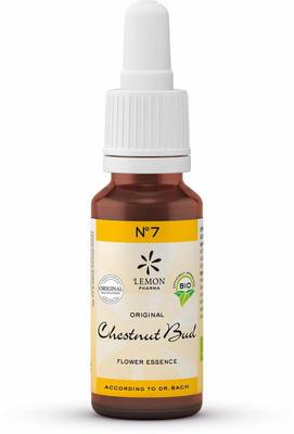 Bach Bloesem Bach bloesemremedies chestnut bud bio