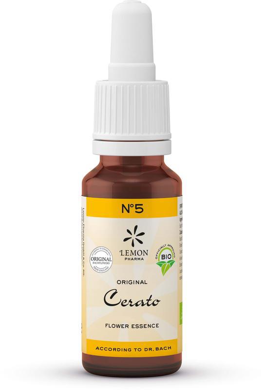 Cerato bio