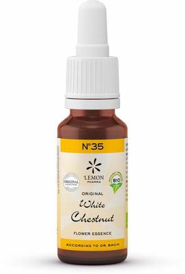 Bach Bloesem Bach bloesemremedies white chestnut bio